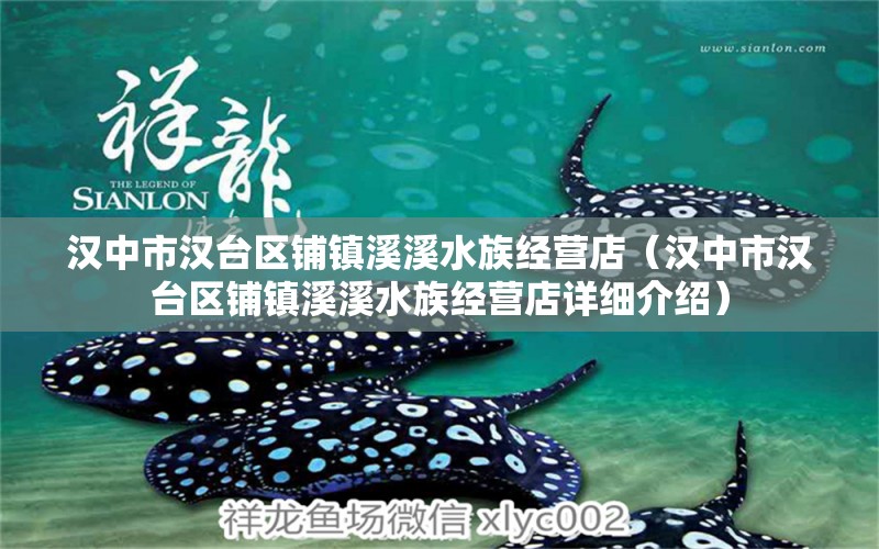 汉中市汉台区铺镇溪溪水族经营店（汉中市汉台区铺镇溪溪水族经营店详细介绍） 全国观赏鱼市场 第2张