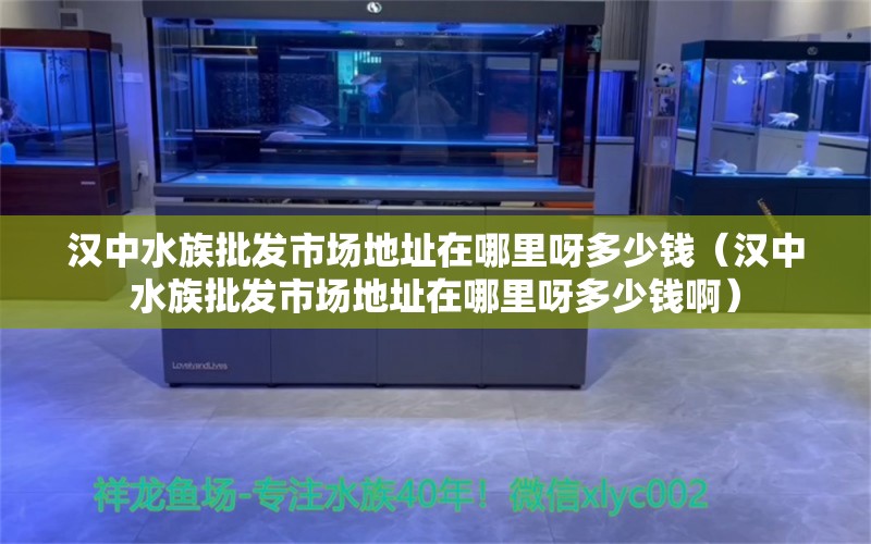 汉中水族批发市场地址在哪里呀多少钱（汉中水族批发市场地址在哪里呀多少钱啊） 观赏鱼水族批发市场