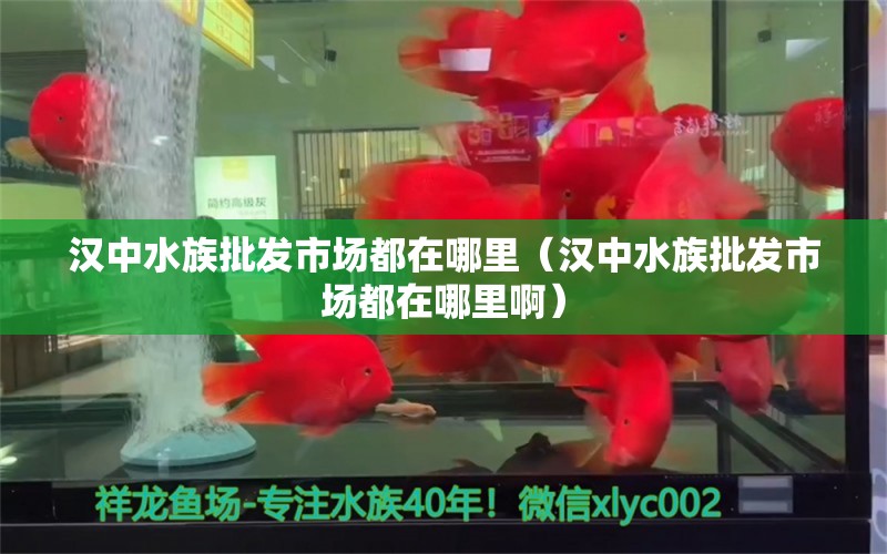 汉中水族批发市场都在哪里（汉中水族批发市场都在哪里啊） 观赏鱼水族批发市场