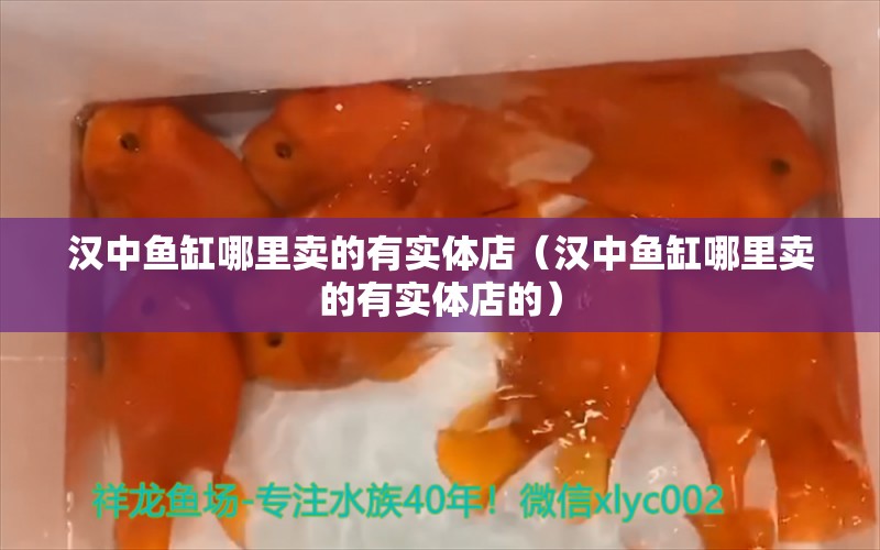 汉中鱼缸哪里卖的有实体店（汉中鱼缸哪里卖的有实体店的）