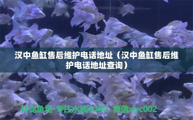 汉中鱼缸售后维护电话地址（汉中鱼缸售后维护电话地址查询）