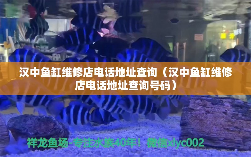 汉中鱼缸维修店电话地址查询（汉中鱼缸维修店电话地址查询号码）