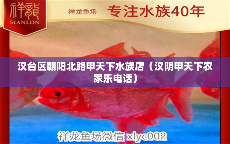 汉台区朝阳北路甲天下水族店（汉阴甲天下农家乐电话）