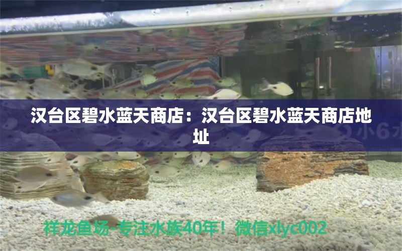 汉台区碧水蓝天商店：汉台区碧水蓝天商店地址