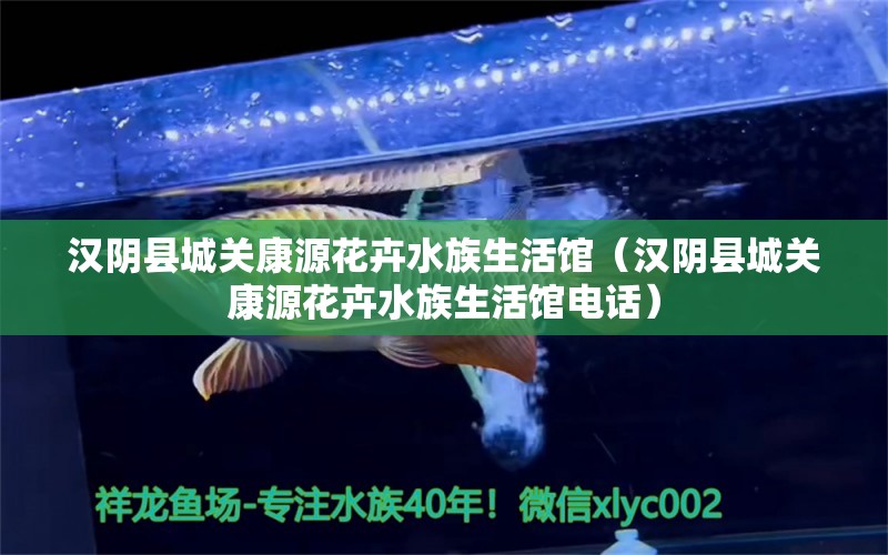 汉阴县城关康源花卉水族生活馆（汉阴县城关康源花卉水族生活馆电话） 全国水族馆企业名录