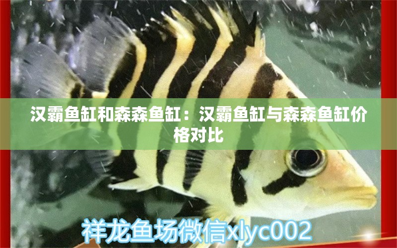 汉霸鱼缸和森森鱼缸：汉霸鱼缸与森森鱼缸价格对比 鱼缸百科 第1张