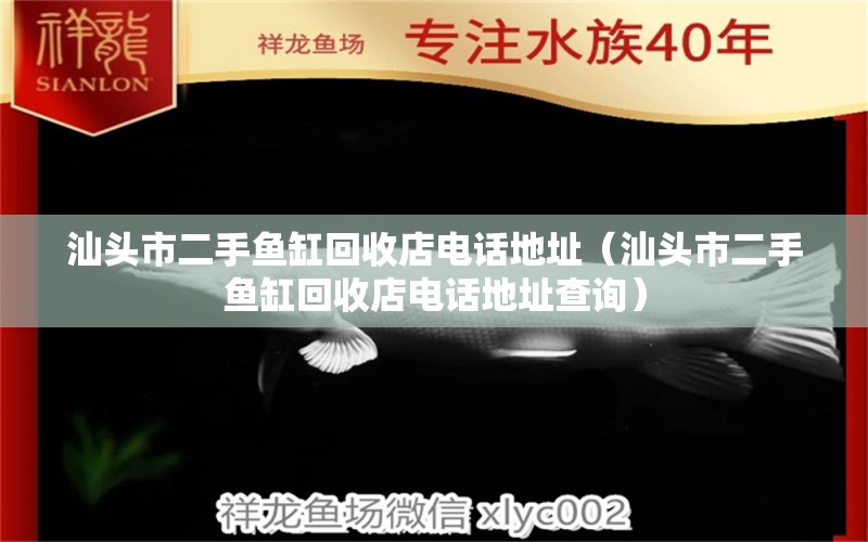 汕头市二手鱼缸回收店电话地址（汕头市二手鱼缸回收店电话地址查询） 短身红龙鱼