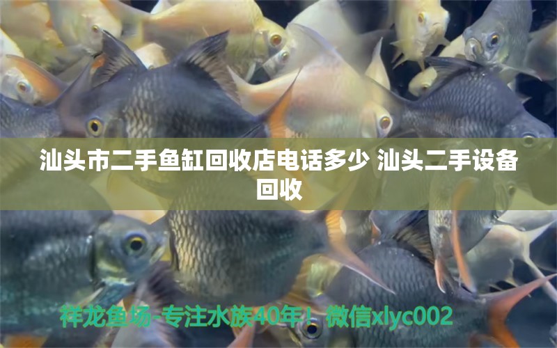 汕头市二手鱼缸回收店电话多少 汕头二手设备回收 水族品牌 第1张