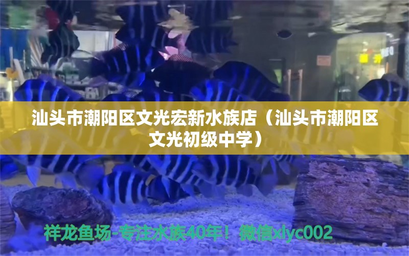 汕头市潮阳区文光宏新水族店（汕头市潮阳区文光初级中学） 全国水族馆企业名录