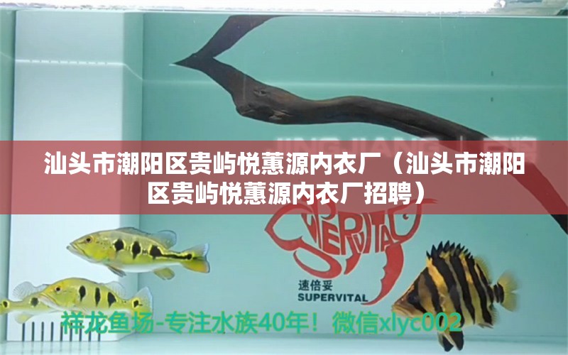 汕头市潮阳区贵屿悦蕙源内衣厂（汕头市潮阳区贵屿悦蕙源内衣厂招聘）