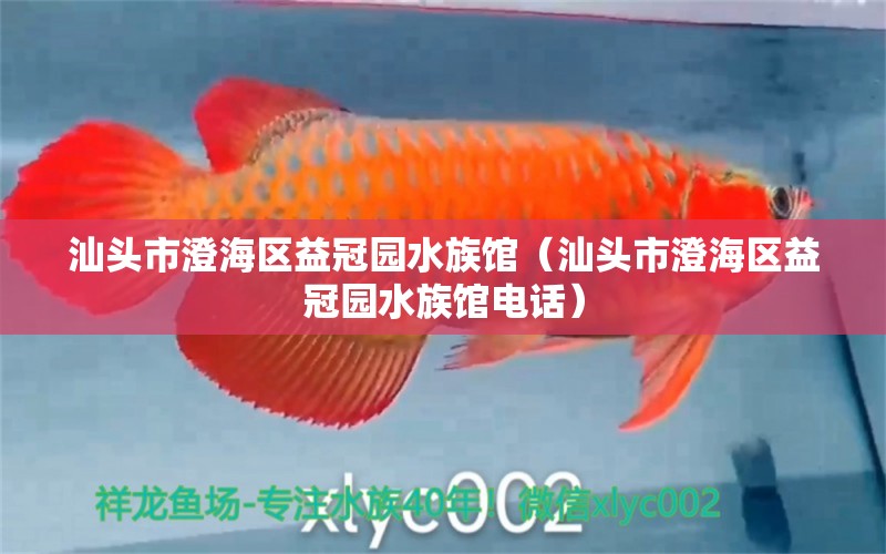 汕头市澄海区益冠园水族馆（汕头市澄海区益冠园水族馆电话）