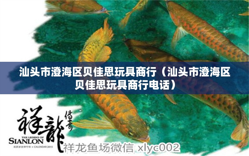 汕头市澄海区贝佳思玩具商行（汕头市澄海区贝佳思玩具商行电话） 全国水族馆企业名录