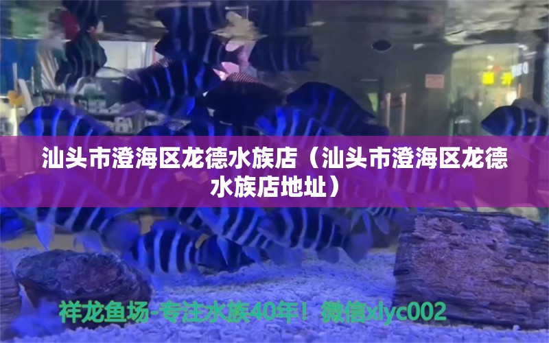 汕头市澄海区龙德水族店（汕头市澄海区龙德水族店地址） 全国水族馆企业名录