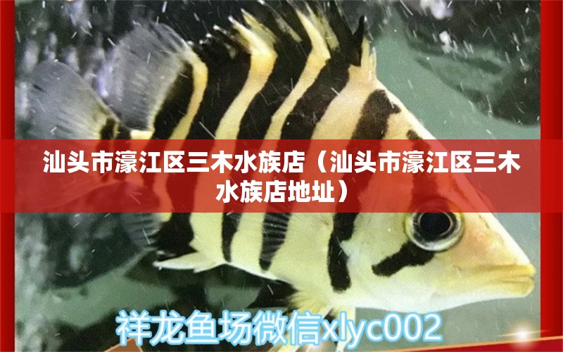 汕头市濠江区三木水族店（汕头市濠江区三木水族店地址）