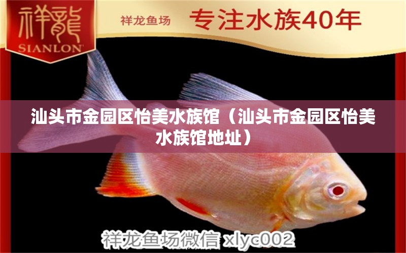 汕头市金园区怡美水族馆（汕头市金园区怡美水族馆地址）