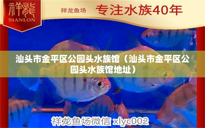 汕头市金平区公园头水族馆（汕头市金平区公园头水族馆地址） 全国水族馆企业名录