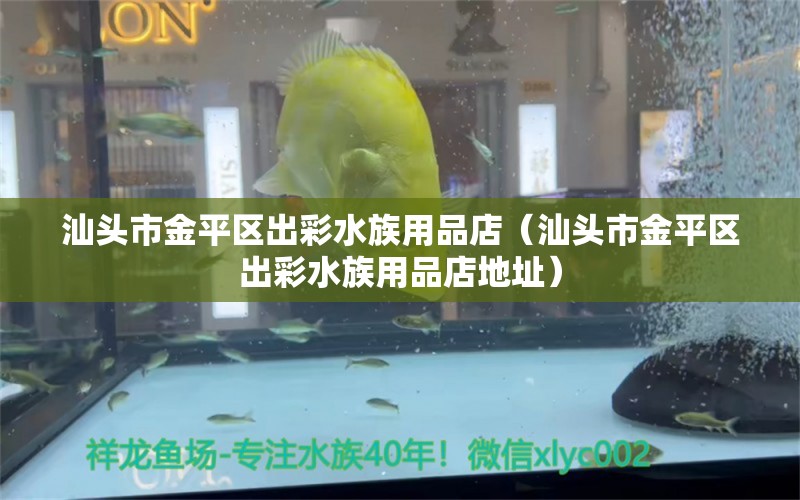 汕头市金平区出彩水族用品店（汕头市金平区出彩水族用品店地址）