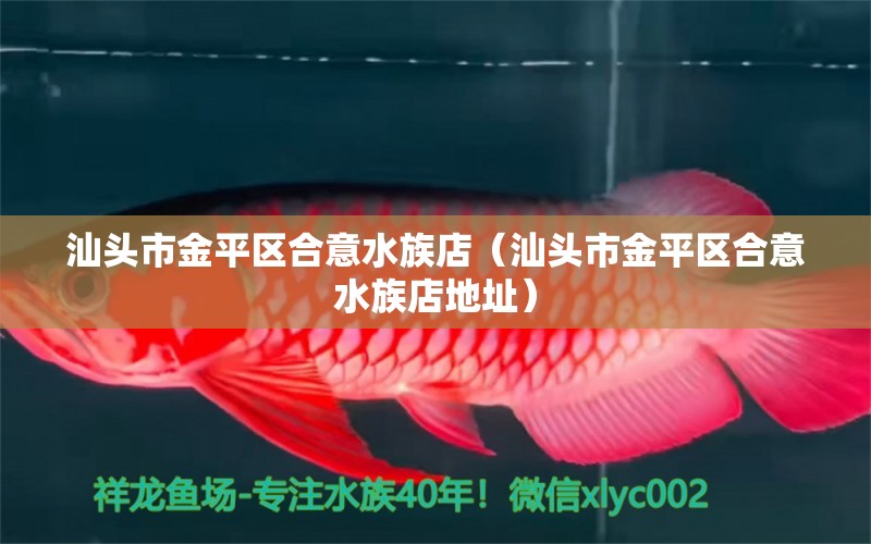 汕头市金平区合意水族店（汕头市金平区合意水族店地址） 全国水族馆企业名录