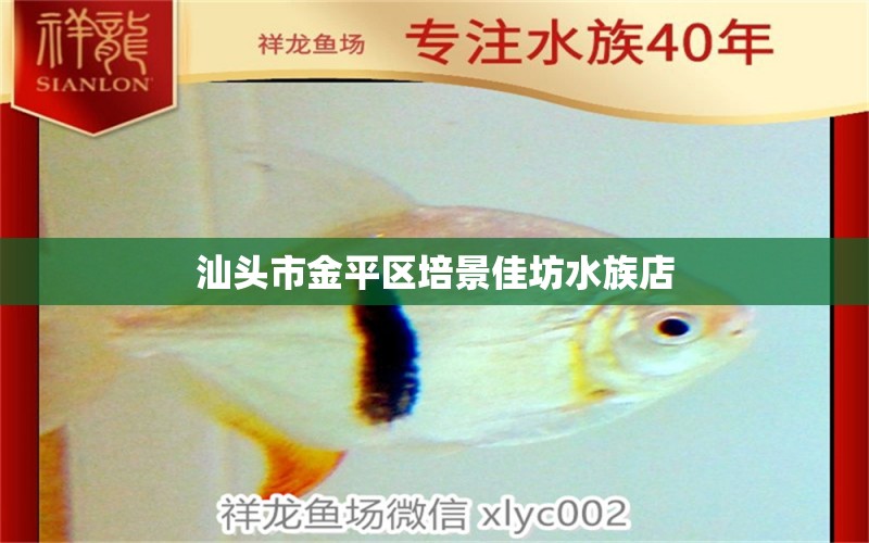 汕头市金平区培景佳坊水族店