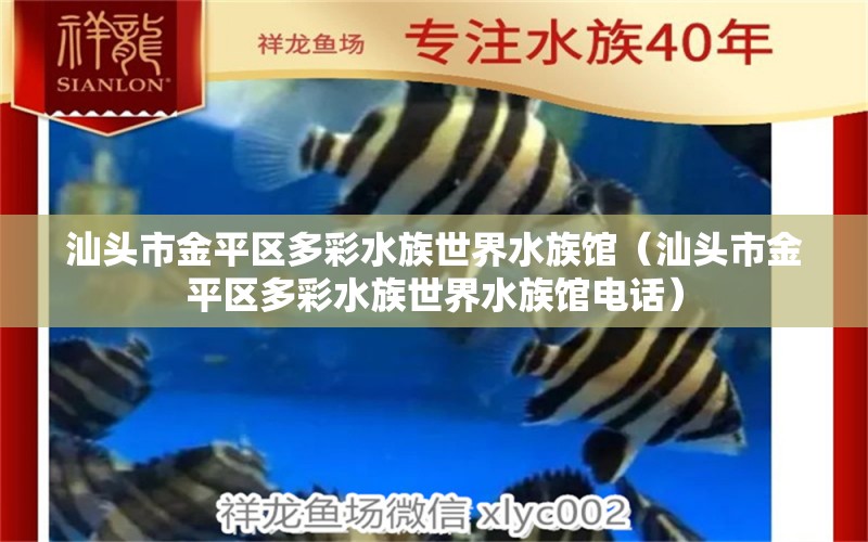 汕头市金平区多彩水族世界水族馆（汕头市金平区多彩水族世界水族馆电话）