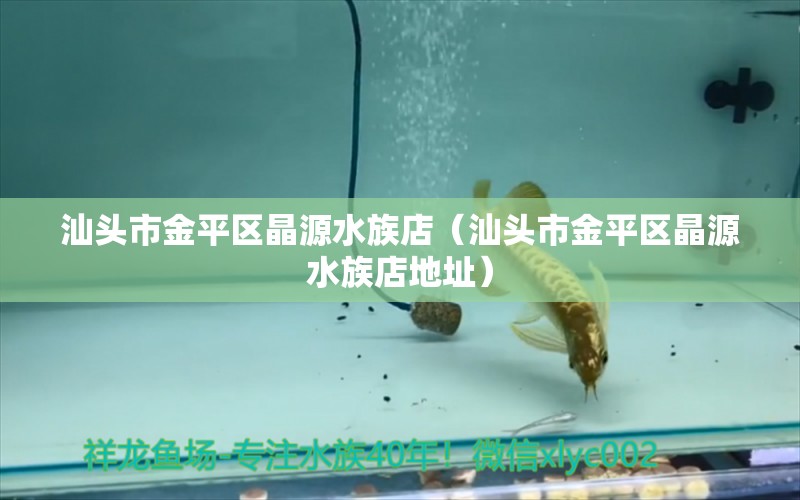 汕头市金平区晶源水族店（汕头市金平区晶源水族店地址）