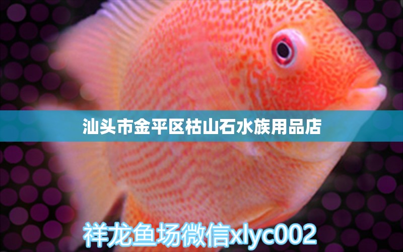 汕头市金平区枯山石水族用品店