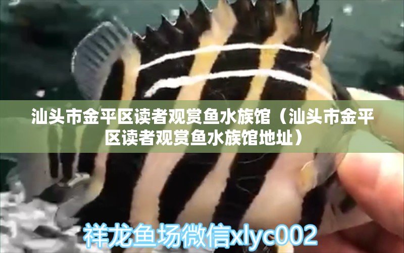 汕头市金平区读者观赏鱼水族馆（汕头市金平区读者观赏鱼水族馆地址） 全国水族馆企业名录