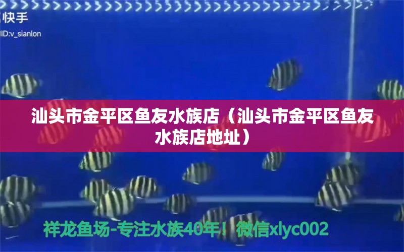 汕头市金平区鱼友水族店（汕头市金平区鱼友水族店地址）