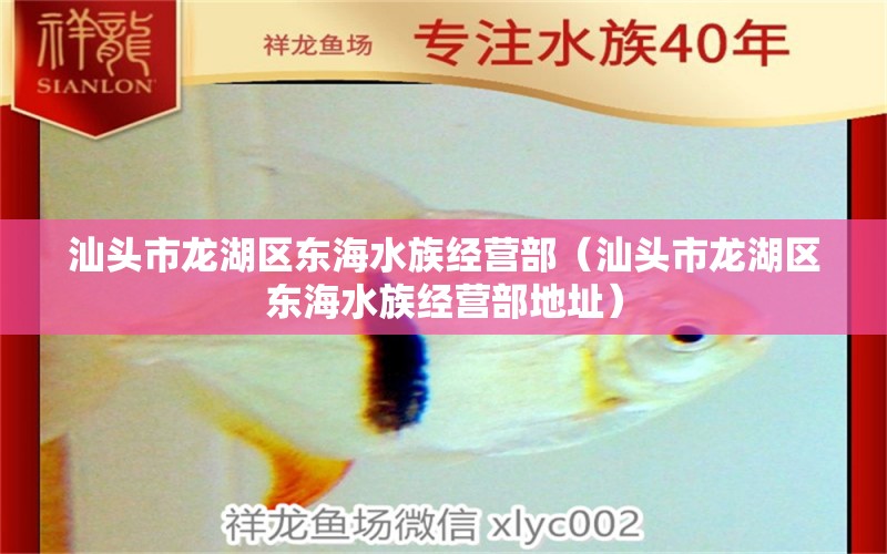 汕头市龙湖区东海水族经营部（汕头市龙湖区东海水族经营部地址）