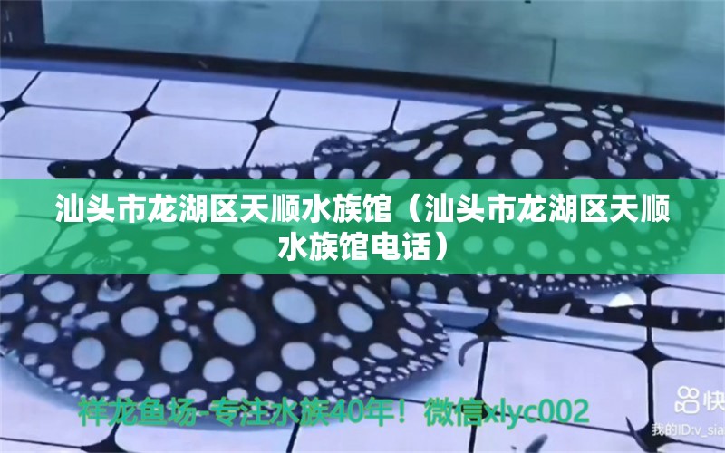 汕头市龙湖区天顺水族馆（汕头市龙湖区天顺水族馆电话） 全国水族馆企业名录