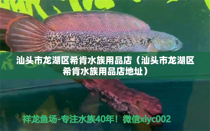 汕头市龙湖区希肯水族用品店（汕头市龙湖区希肯水族用品店地址）