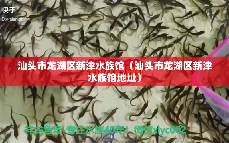 汕头市龙湖区新津水族馆（汕头市龙湖区新津水族馆地址） 全国水族馆企业名录