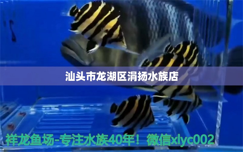 汕头市龙湖区涓扬水族店