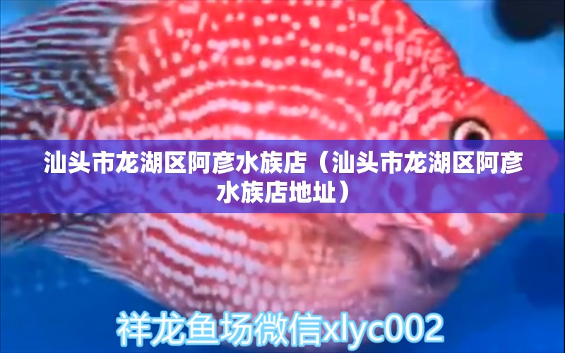 汕头市龙湖区阿彦水族店（汕头市龙湖区阿彦水族店地址） 全国水族馆企业名录