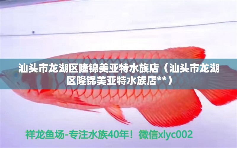 汕头市龙湖区隆锦美亚特水族店（汕头市龙湖区隆锦美亚特水族店**）