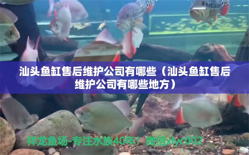 汕头鱼缸售后维护公司有哪些（汕头鱼缸售后维护公司有哪些地方） 其他品牌鱼缸