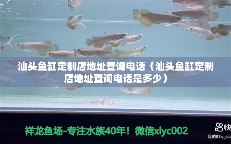 汕头鱼缸定制店地址查询电话（汕头鱼缸定制店地址查询电话是多少） 雪龙鱼