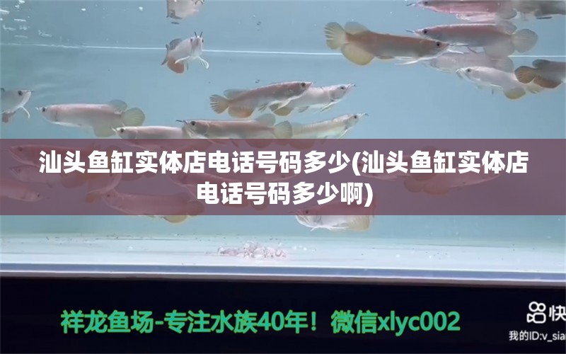 汕头鱼缸实体店电话号码多少(汕头鱼缸实体店电话号码多少啊) 黑桃A鱼苗 第1张