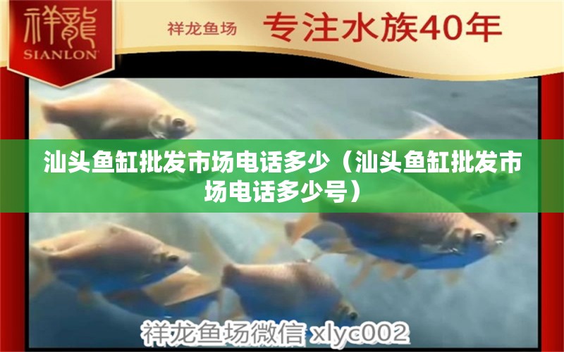 汕头鱼缸批发市场电话多少（汕头鱼缸批发市场电话多少号） 观赏鱼市场（混养鱼）