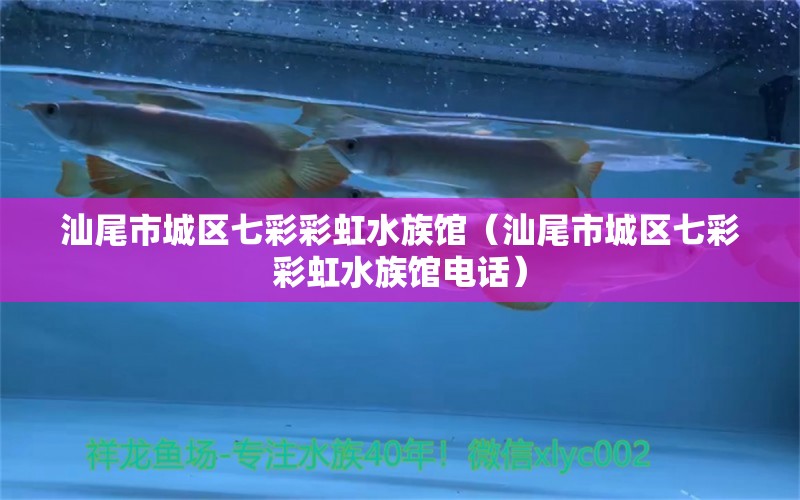 汕尾市城区七彩彩虹水族馆（汕尾市城区七彩彩虹水族馆电话） 全国水族馆企业名录