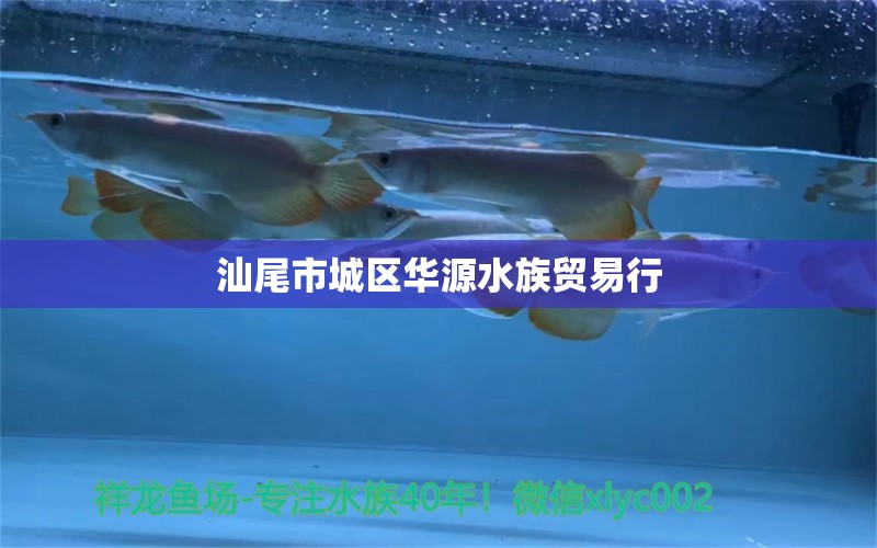 汕尾市城区华源水族贸易行 全国水族馆企业名录