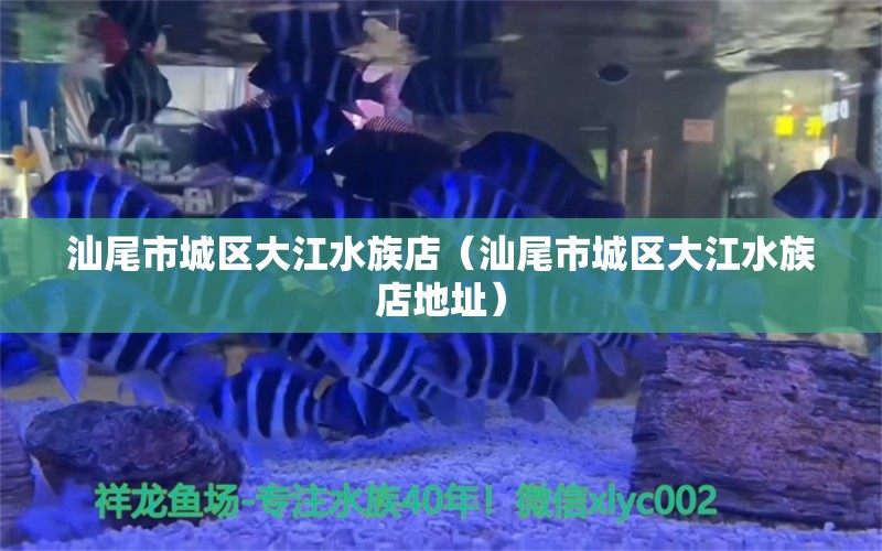 汕尾市城区大江水族店（汕尾市城区大江水族店地址） 全国水族馆企业名录