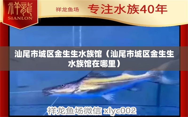 汕尾市城区金生生水族馆（汕尾市城区金生生水族馆在哪里） 全国水族馆企业名录