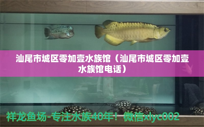 汕尾市城区零加壹水族馆（汕尾市城区零加壹水族馆电话）