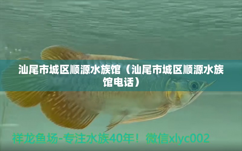 汕尾市城区顺源水族馆（汕尾市城区顺源水族馆电话）