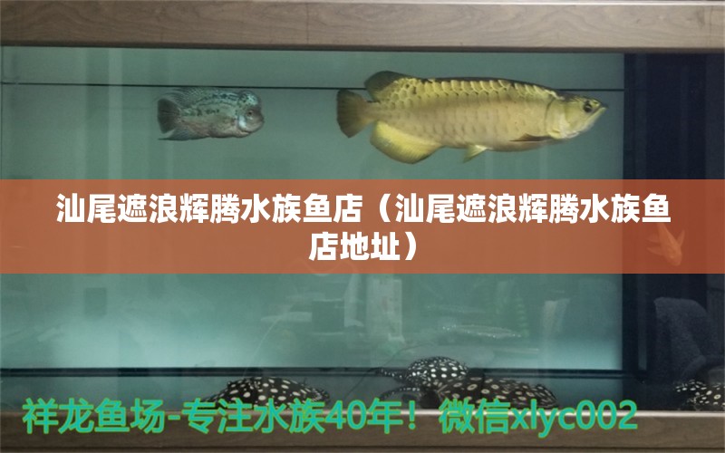 汕尾遮浪辉腾水族鱼店（汕尾遮浪辉腾水族鱼店地址） 全国水族馆企业名录