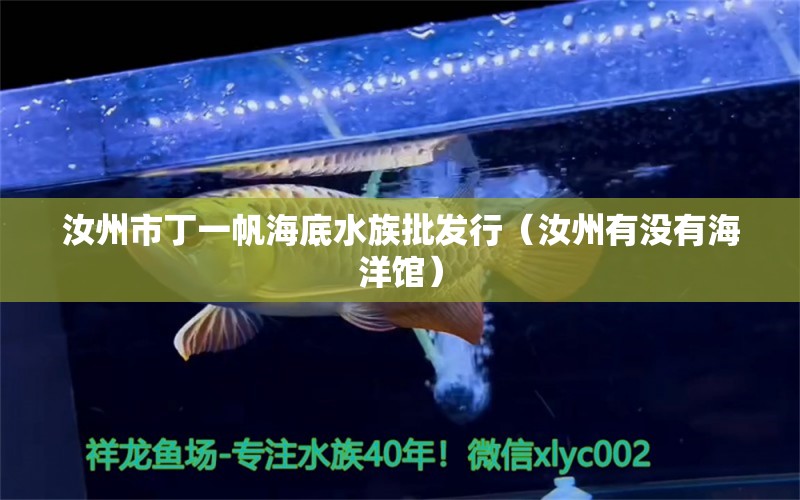 汝州市丁一帆海底水族批发行（汝州有没有海洋馆）