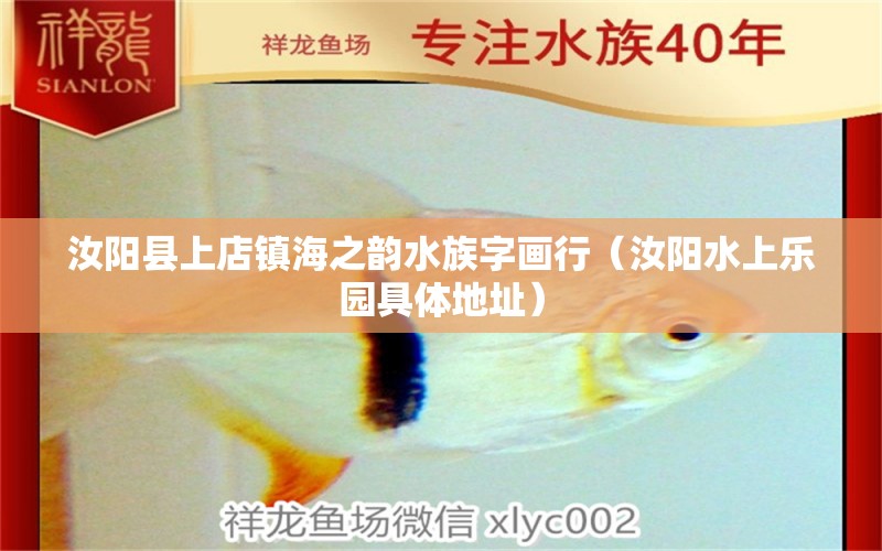 汝阳县上店镇海之韵水族字画行（汝阳水上乐园具体地址） 全国水族馆企业名录