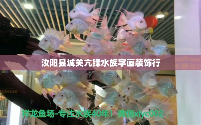 汝阳县城关亢锋水族字画装饰行