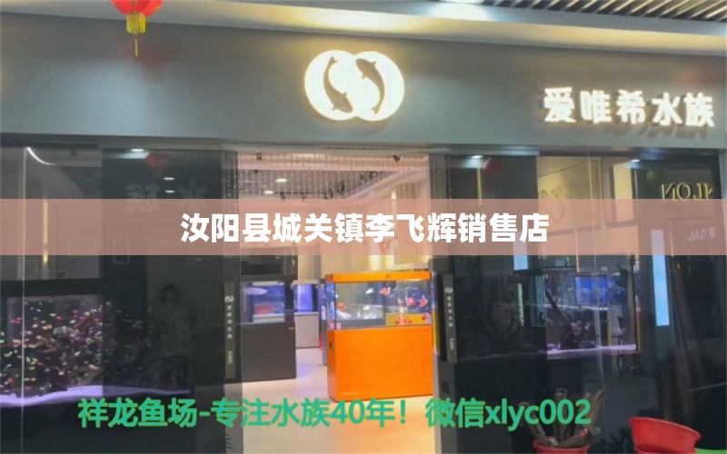 汝阳县城关镇李飞辉销售店 全国水族馆企业名录